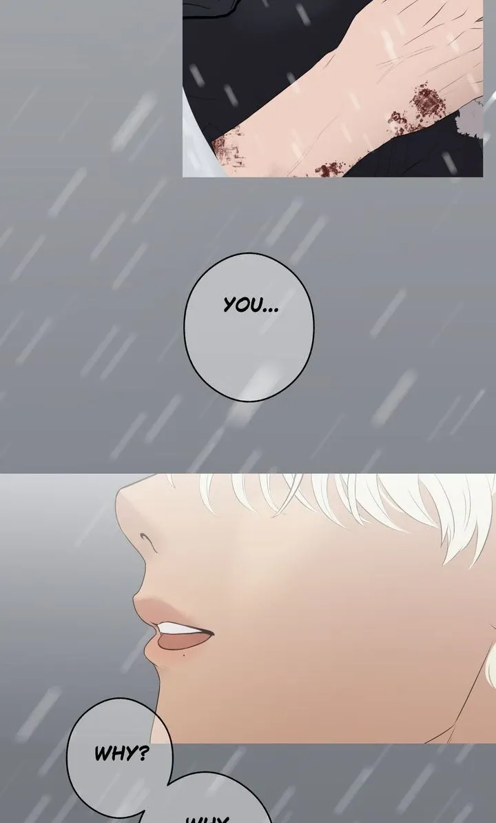 Read My Sweet Demon King chapter 18 image 41 on Lezhin