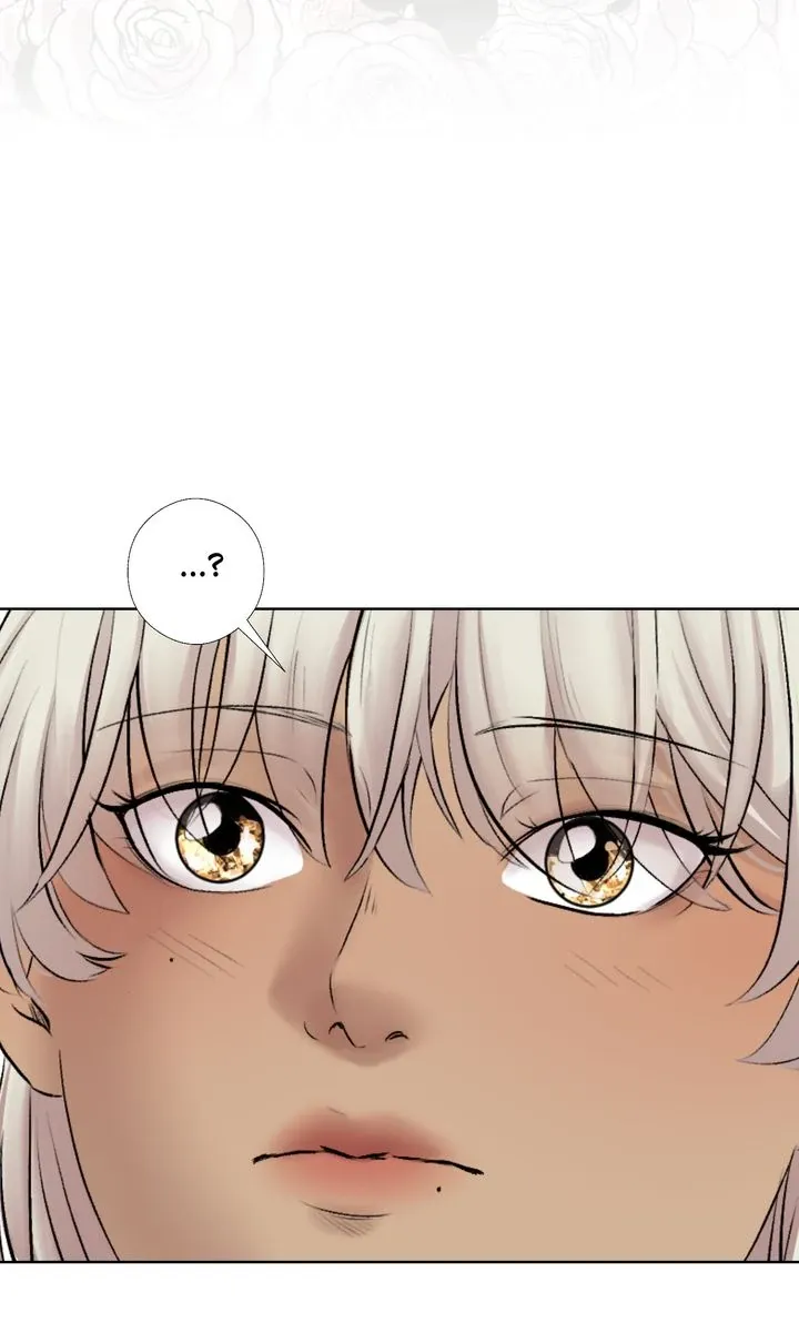 Read My Sweet Demon King chapter 2 image 31 on Lezhin