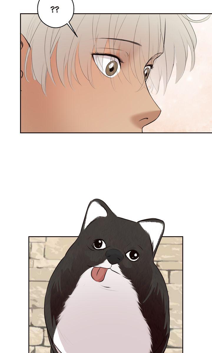 Read My Sweet Demon King chapter 30 image 28 on Lezhin