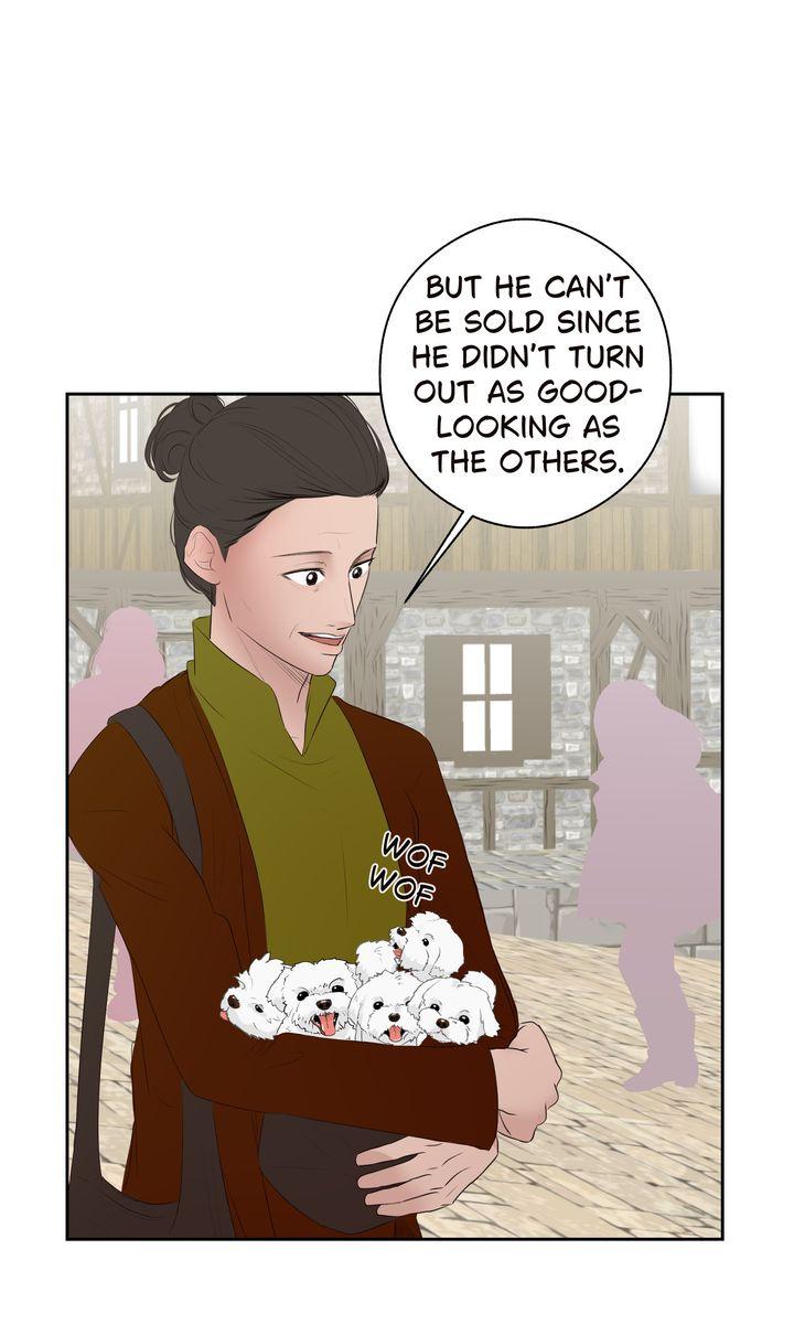 Read My Sweet Demon King chapter 30 image 33 on Lezhin