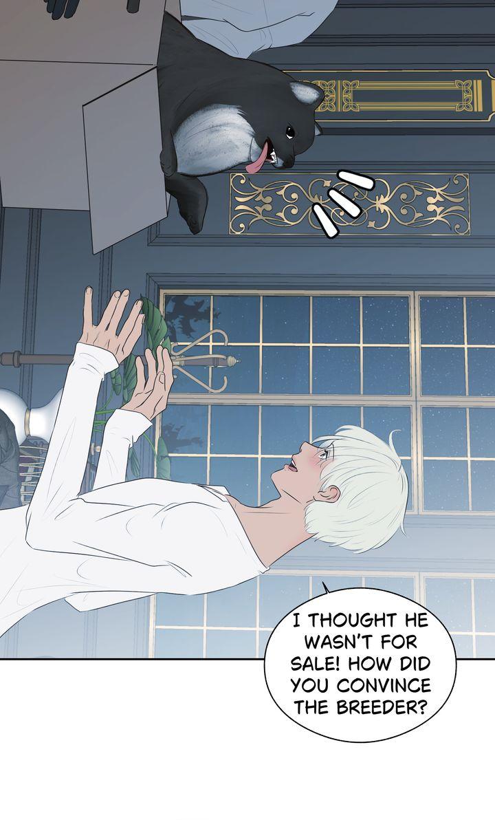 Read My Sweet Demon King chapter 34 image 28 on Lezhin