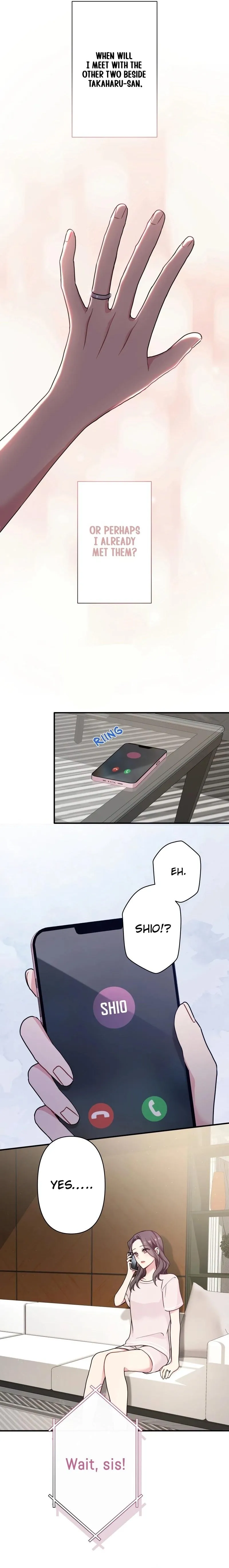 My Three Husbands Won't Leave Me Alone Chapter 10 page 17 - 