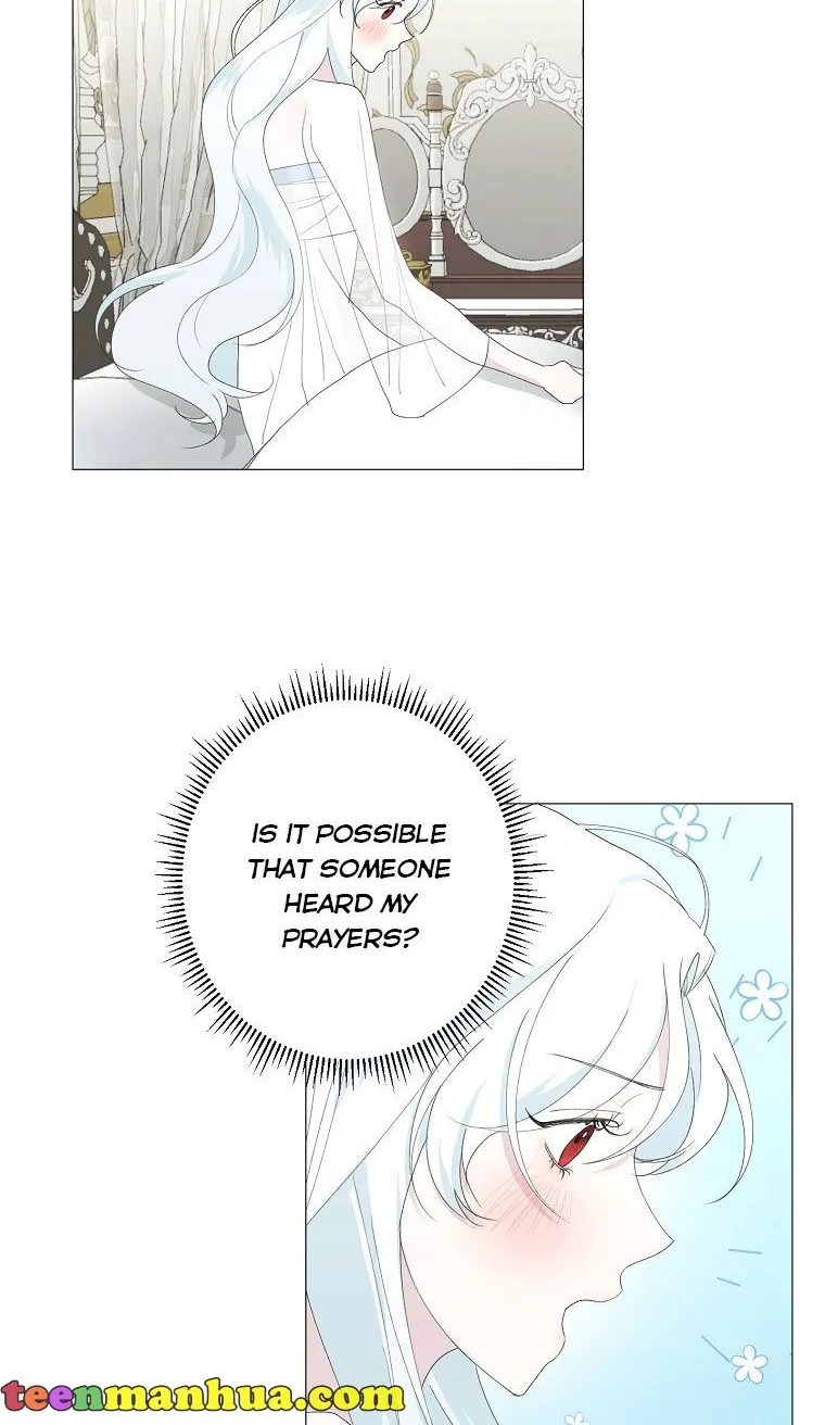 My tyrant’s husband somehow became cautious Chapter 1 page 38 - 