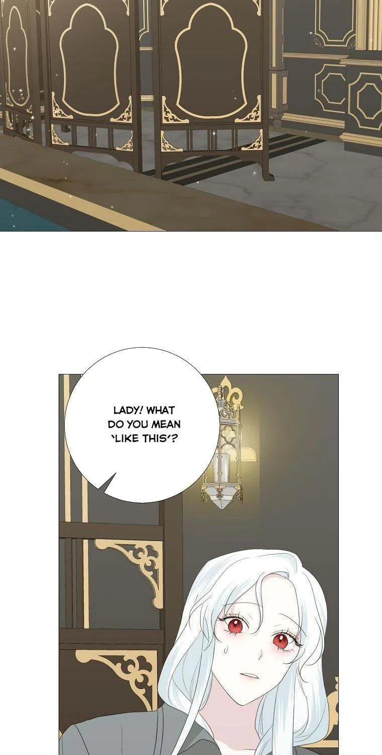 My tyrant’s husband somehow became cautious Chapter 14 page 11 - 