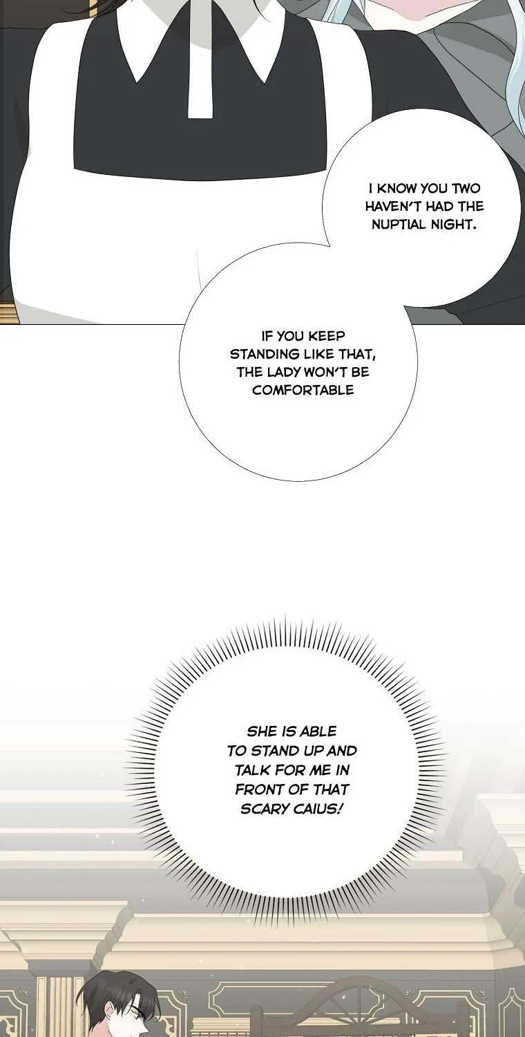 My tyrant’s husband somehow became cautious Chapter 14 page 27 - 