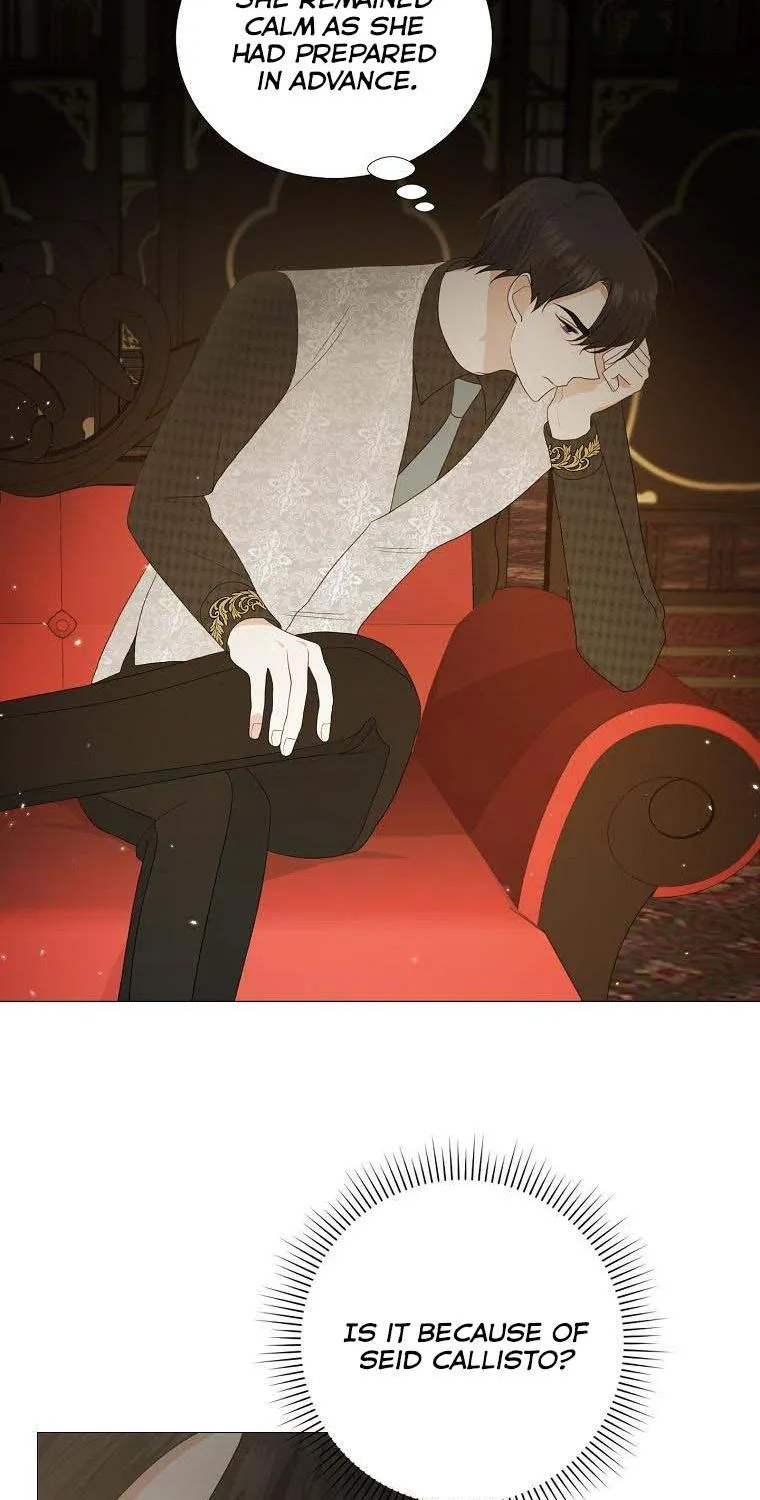 My tyrant’s husband somehow became cautious Chapter 15 page 33 - 