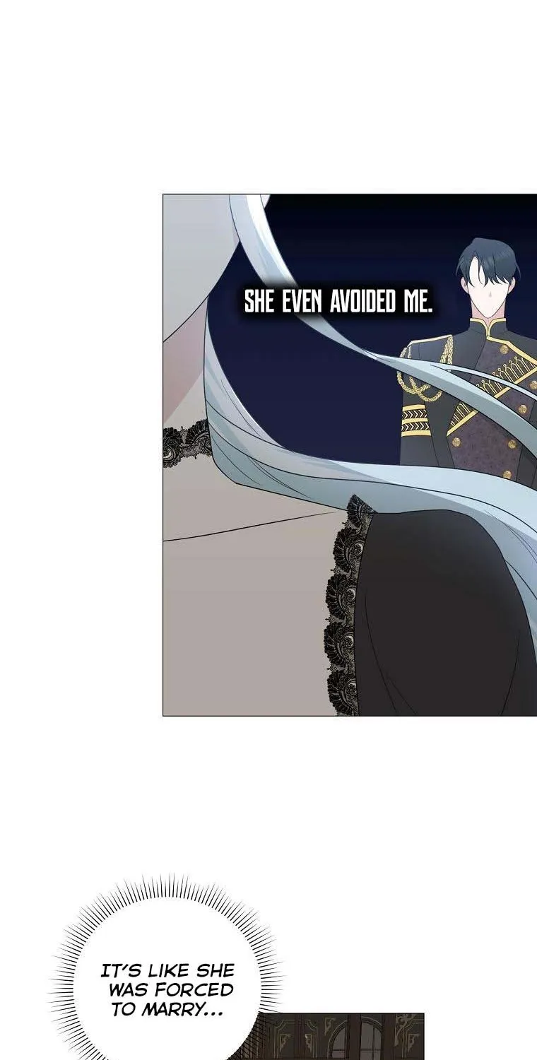 My tyrant’s husband somehow became cautious Chapter 15 page 43 - 