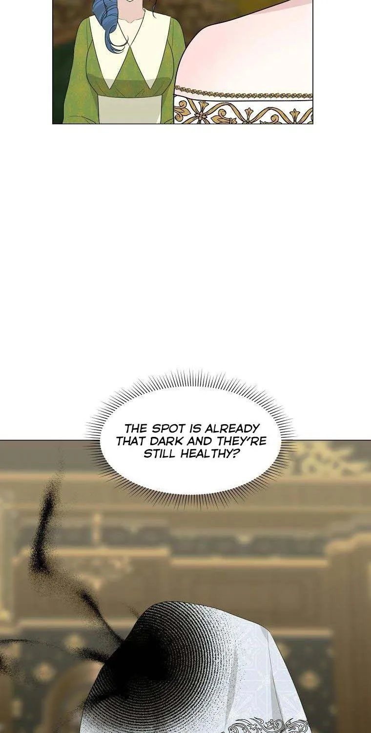 My tyrant’s husband somehow became cautious Chapter 24 page 41 - 