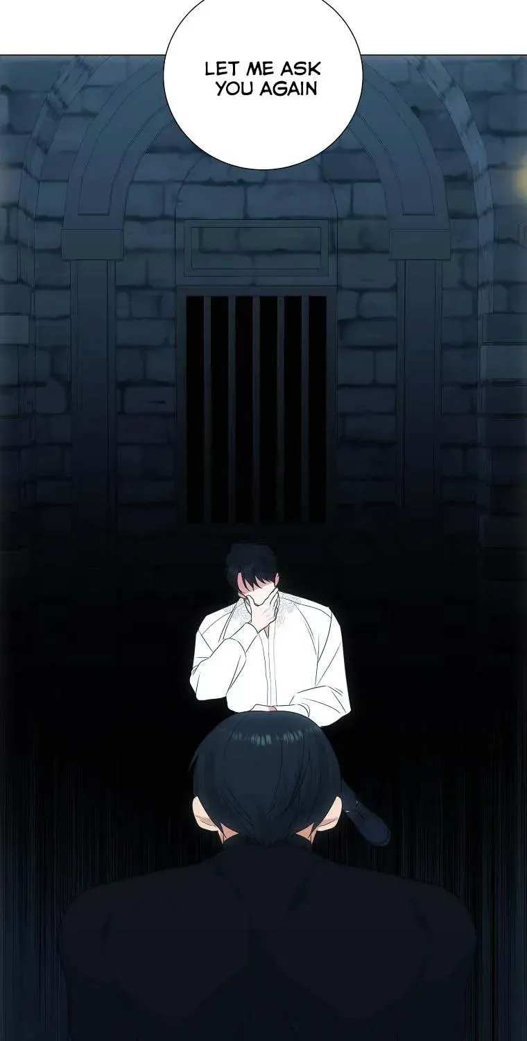 My tyrant’s husband somehow became cautious Chapter 37 page 75 - 