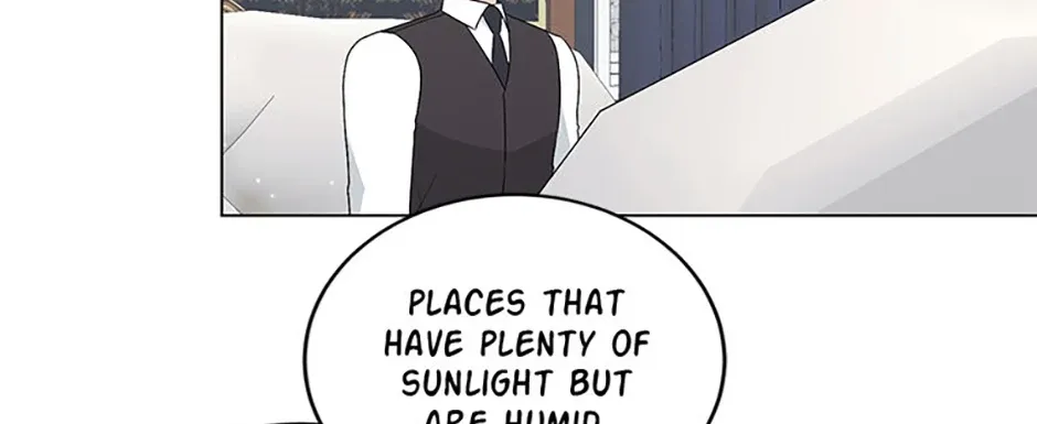 My tyrant’s husband somehow became cautious Chapter 72 page 84 - 