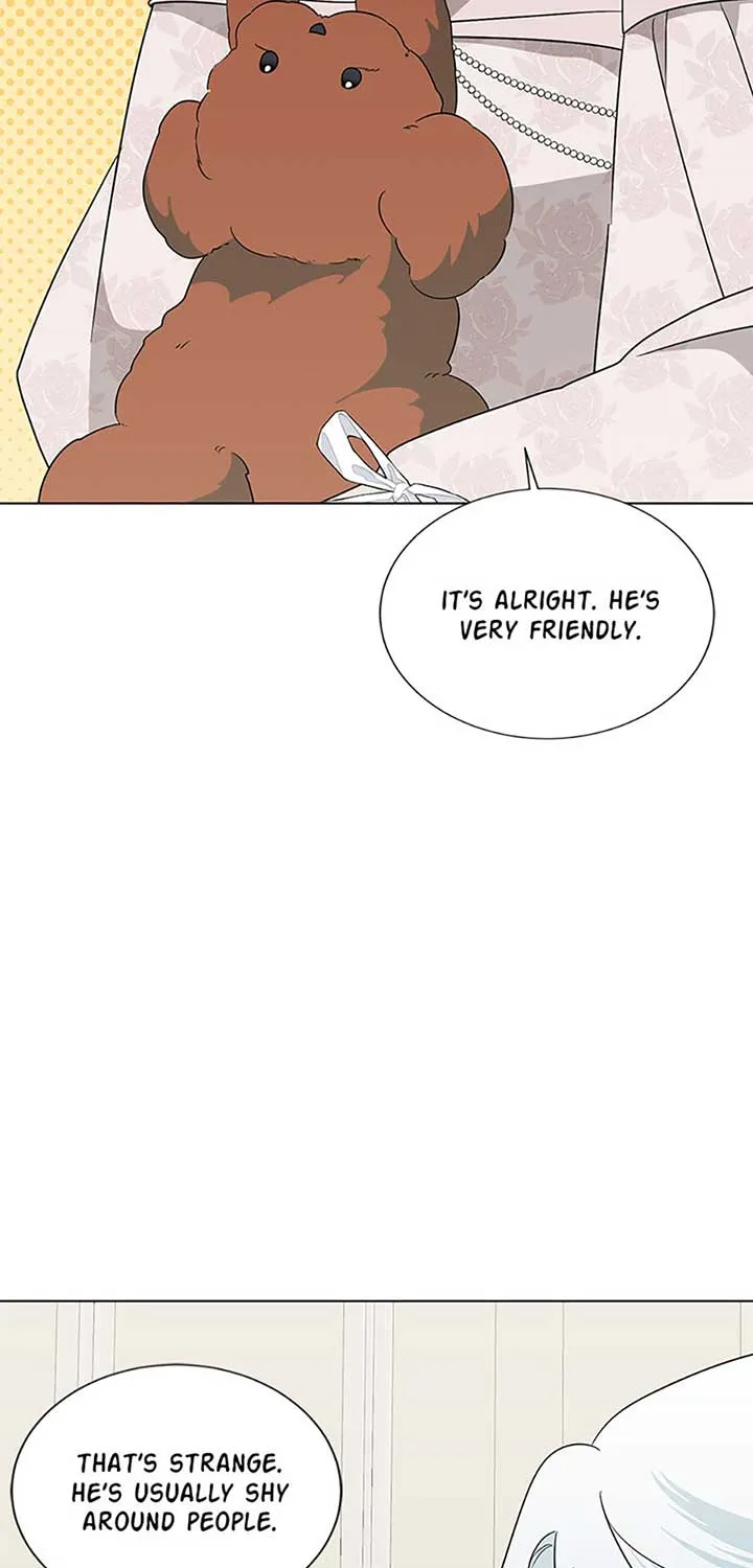My tyrant’s husband somehow became cautious Chapter 82 page 31 - 