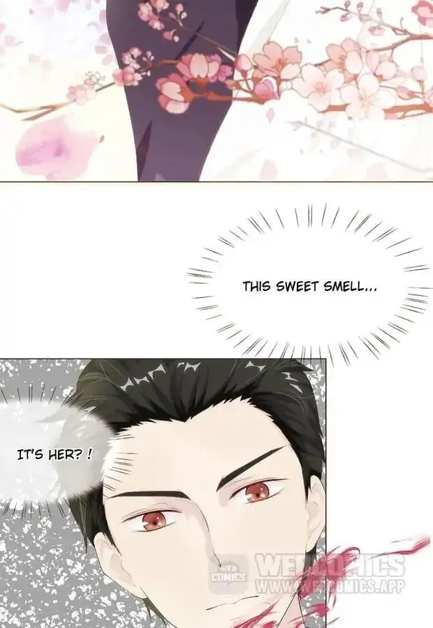 My Vampire CEO Chapter 10 page 14 - 