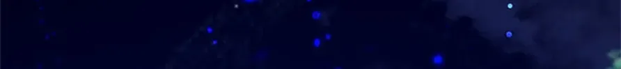 My Warmonger Husband Chapter 52 page 164 - 