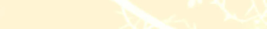 My Warmonger Husband Chapter 81 page 58 - 