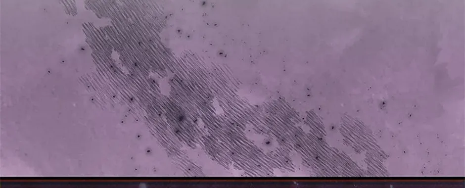 My Warmonger Husband Chapter 88 page 14 - 