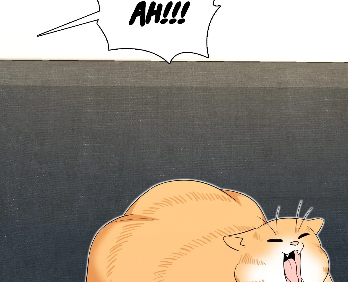 My Wife Is From a Thousand Years Ago Chapter 347 page 101 - 