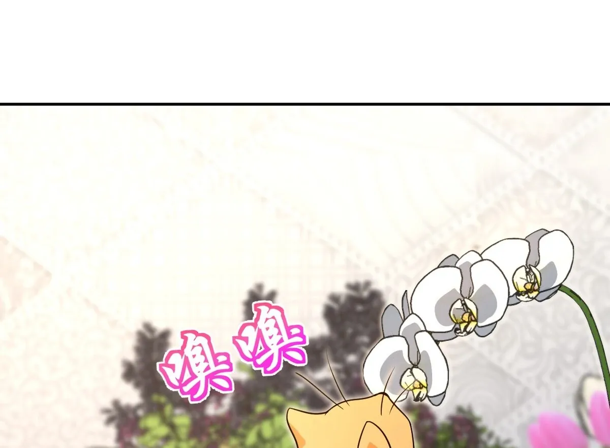 My Wife Is From a Thousand Years Ago Chapter 380 page 60 - 