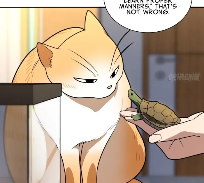 My Wife is from Thousand Years ago Chapter 405 page 97 - 