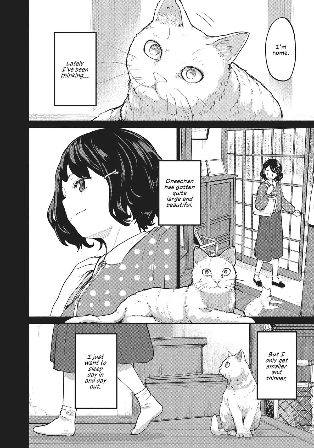 Read Mysterious Disappearances chapter 18 image 3 on Lezhin