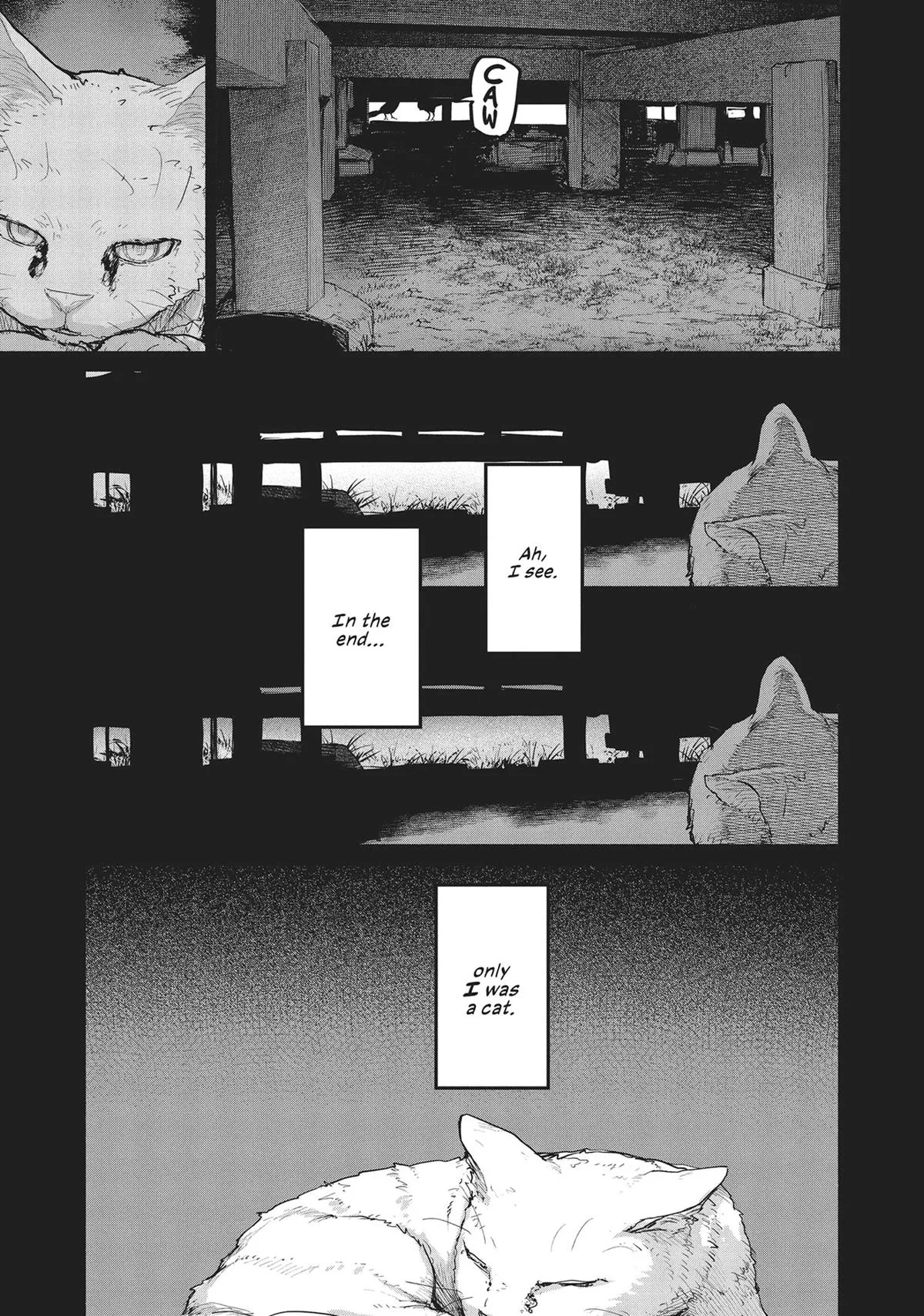 Read Mysterious Disappearances chapter 18 image 8 on Lezhin