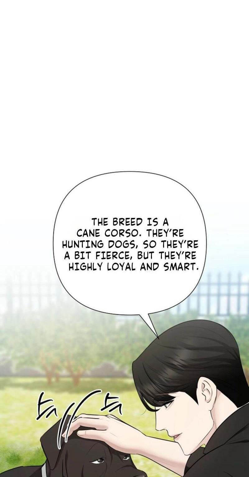 Read Mystic City chapter 29 image 65 on Lezhin