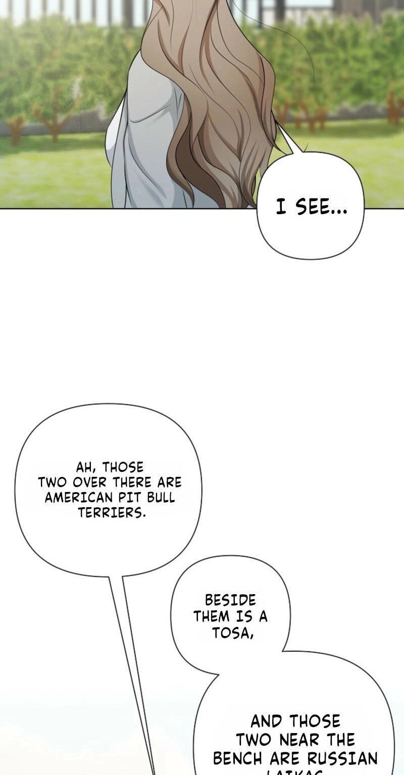Read Mystic City chapter 29 image 68 on Lezhin