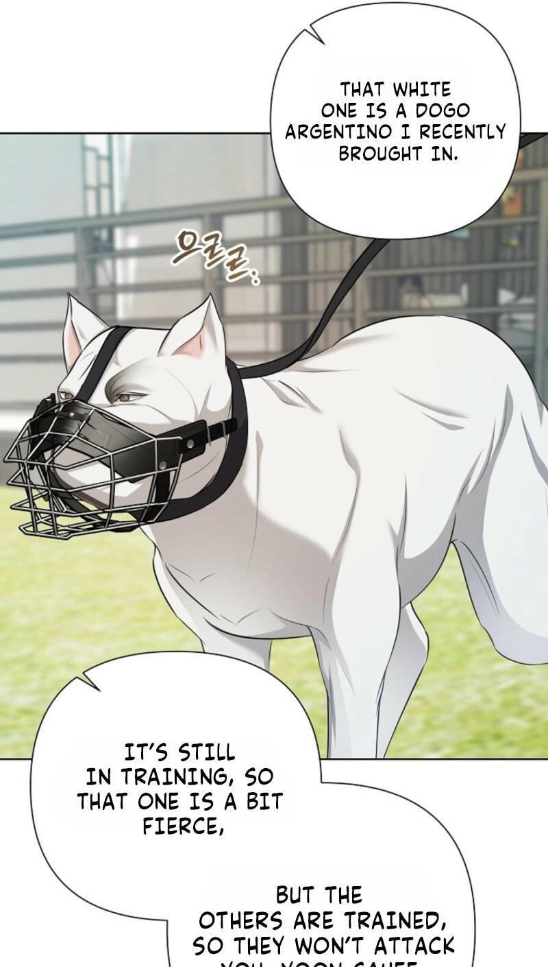 Read Mystic City chapter 29 image 70 on Lezhin
