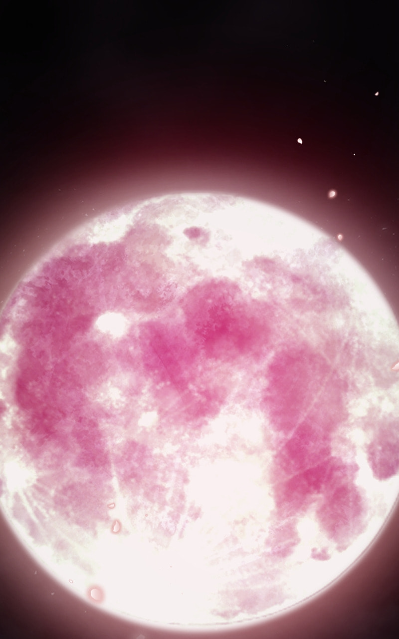 Mystic Prince Chapter 108 page 143 - 