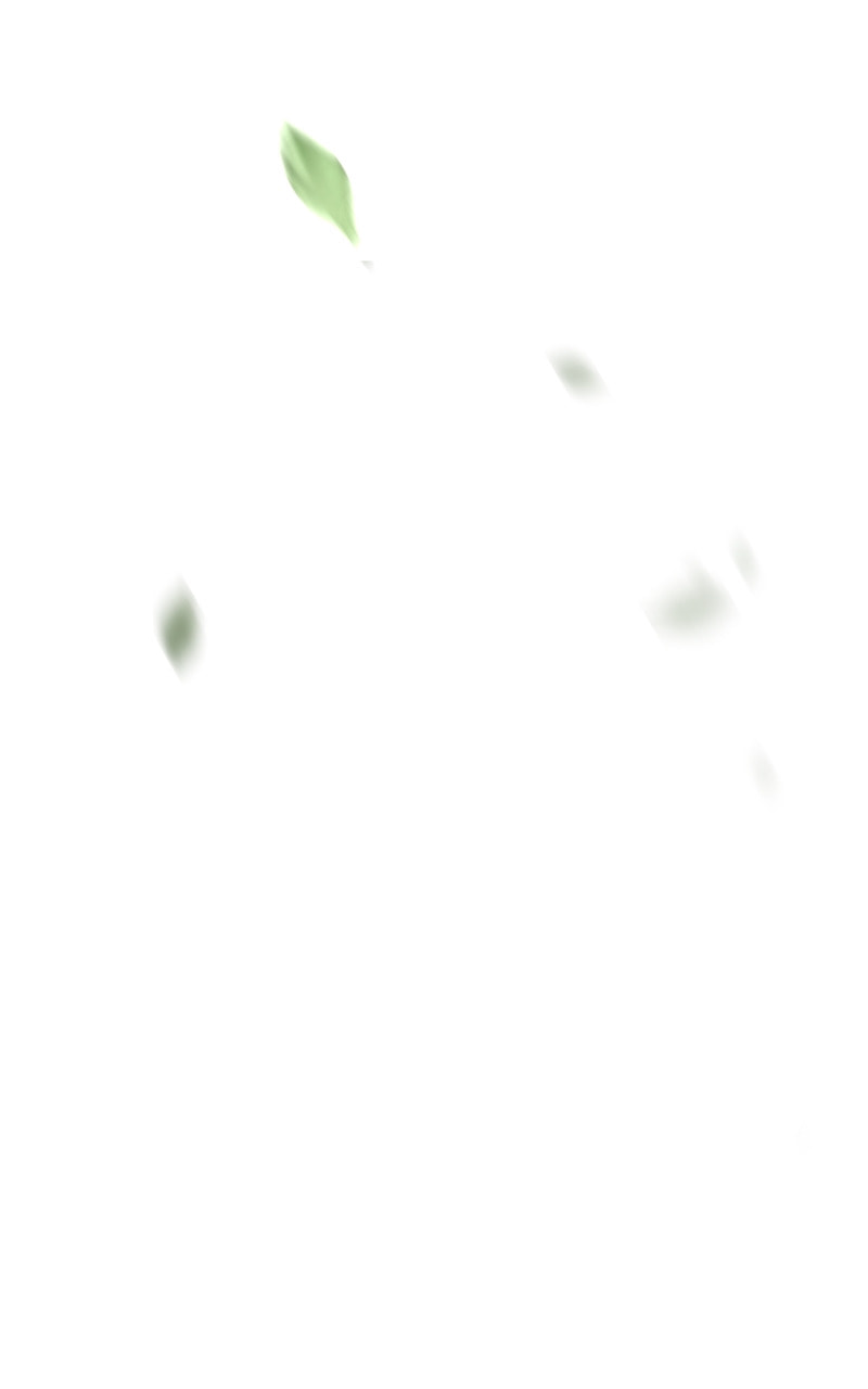 Mystic Prince Chapter 116 page 129 - 