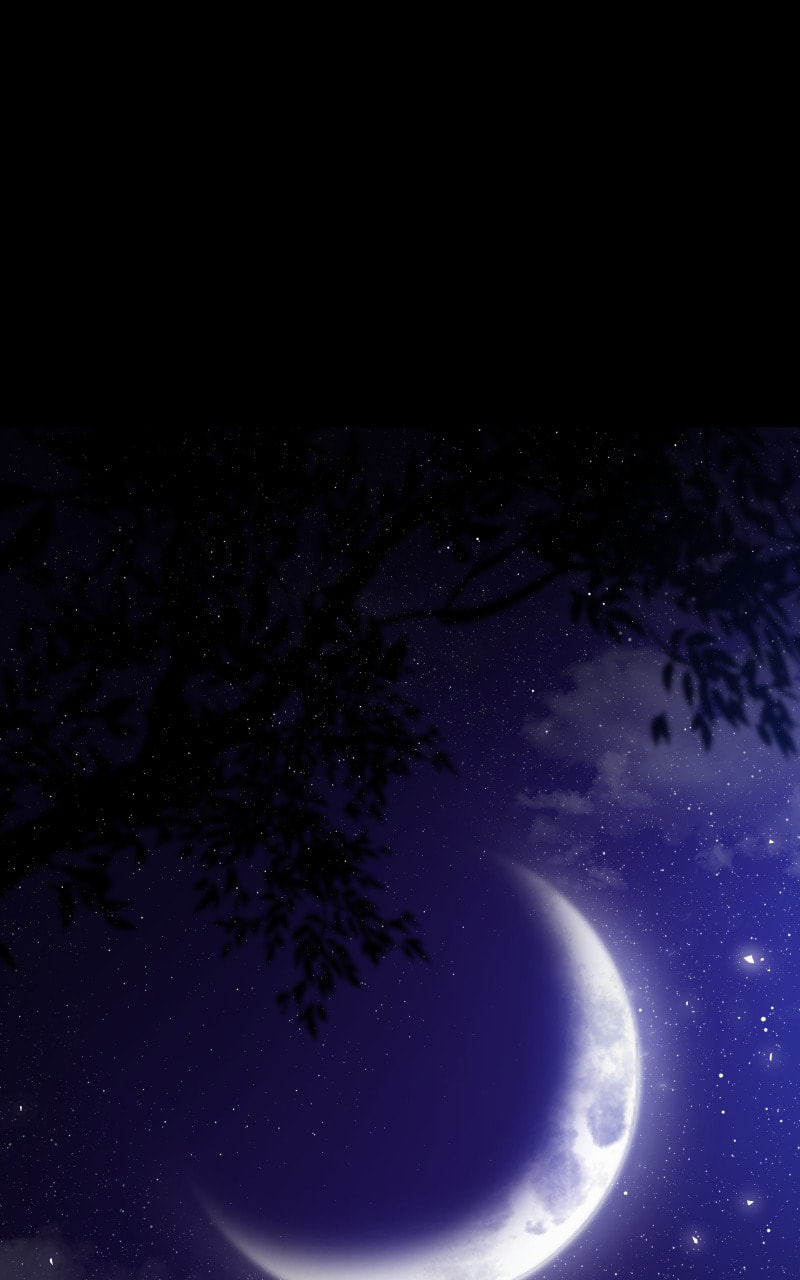 Mystic Prince Chapter 32 page 54 - 