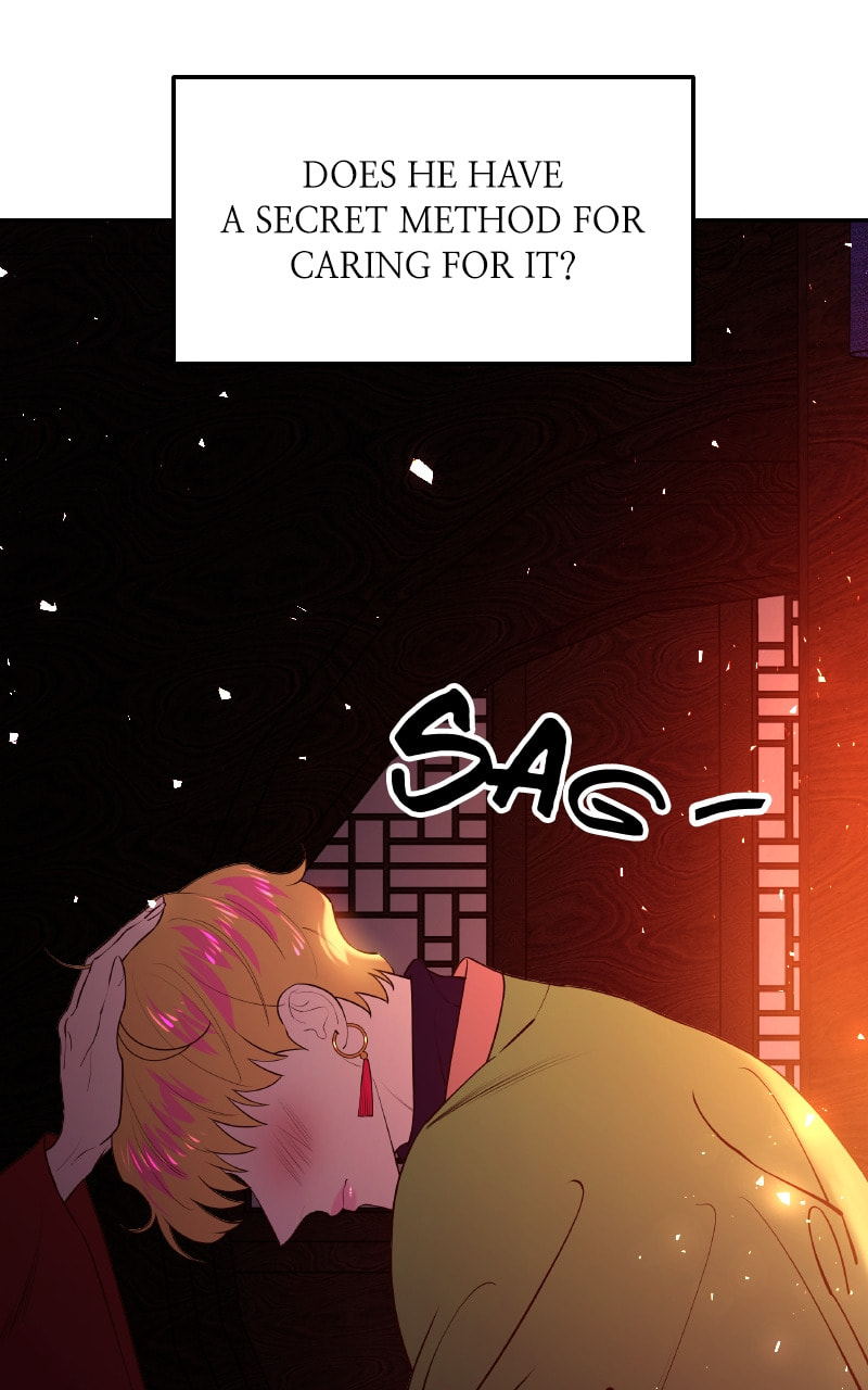 Mystic Prince Chapter 41 page 60 - 