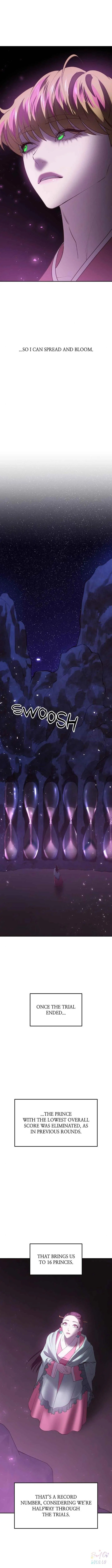 Mystic Prince Chapter 51 page 7 - 
