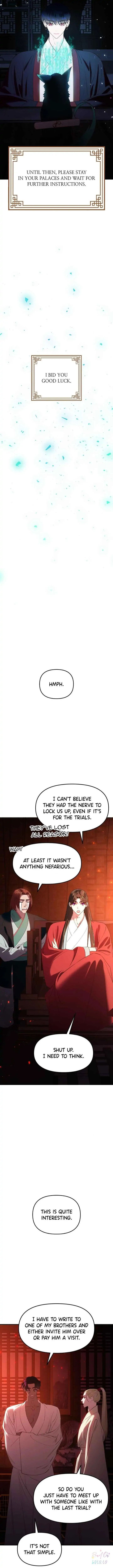 Mystic Prince Chapter 53 page 11 - 