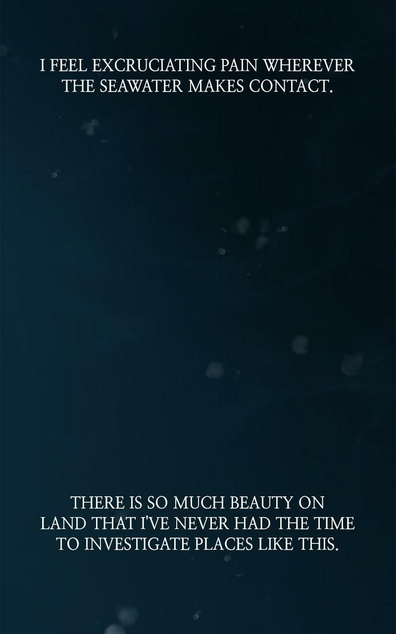 Mystic Prince Chapter 71 page 47 - 
