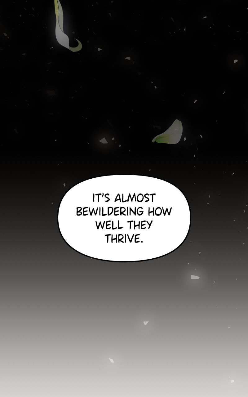 Mystic Prince Chapter 80 page 102 - 