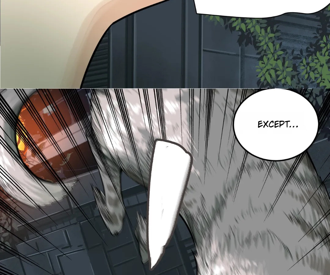 Mystical Beast City Chapter 20 page 20 - 