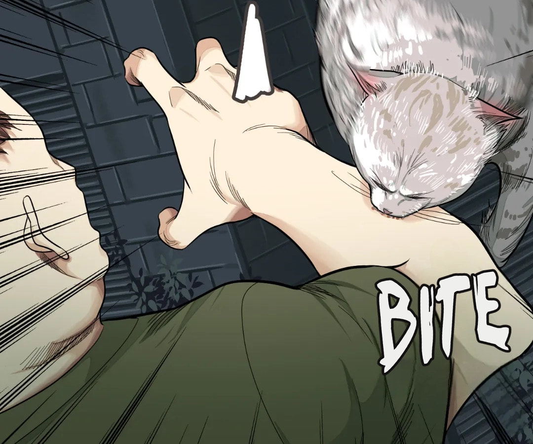 Mystical Beast City Chapter 20 page 21 - 
