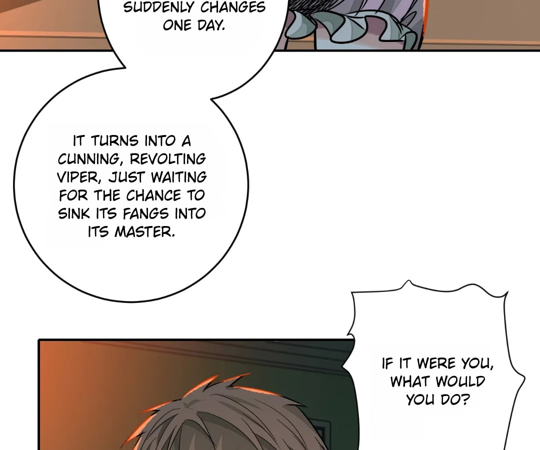 Mystical Beast City Chapter 47 page 48 - 