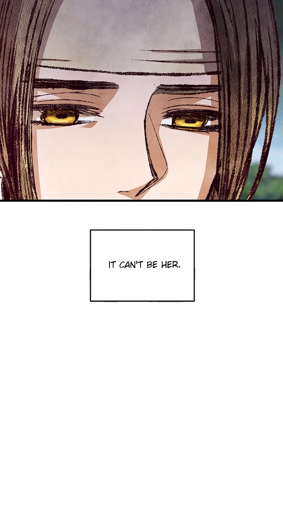 Read Naeng Sowol: The Cold Moon chapter 70 image 5 on Lezhin