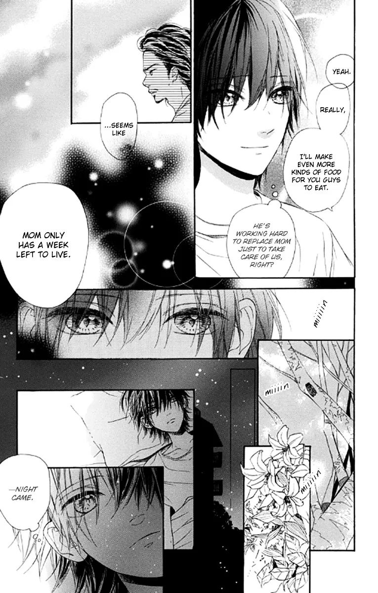 Nagareboshi Lens Chapter 20.99 page 15 - 