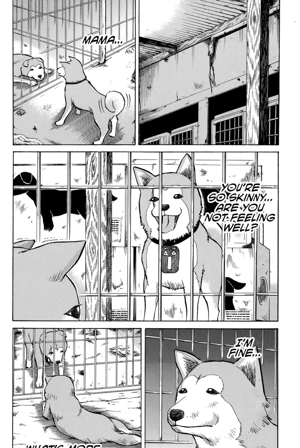 Nanba MG5 Chapter 100 page 13 - 