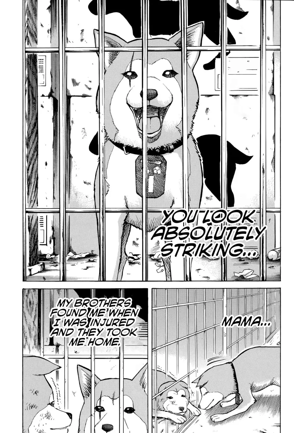 Nanba MG5 Chapter 100 page 15 - 