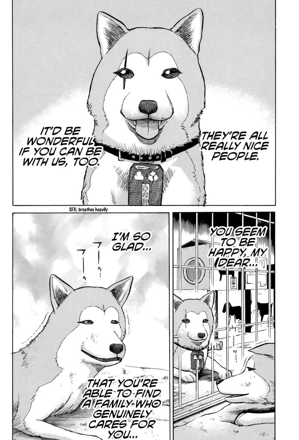 Nanba MG5 Chapter 100 page 17 - 