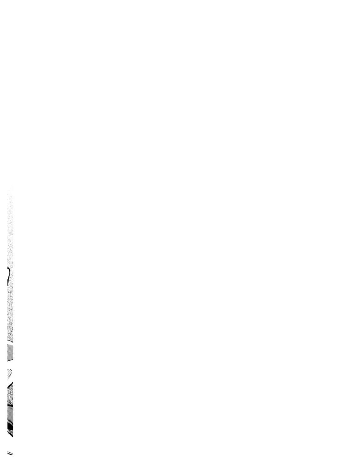 Read Narnia Koku Monogatari chapter 12 image 2 on Lezhin