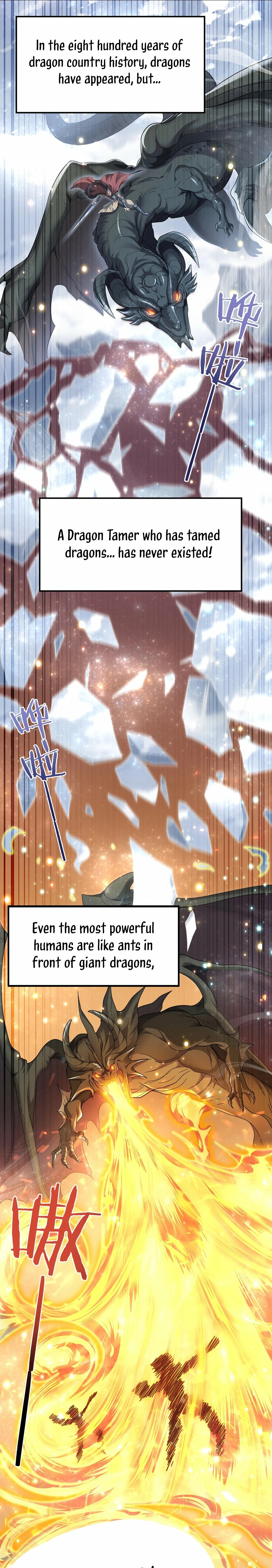 National Job Change: I’m Stuck As the Weakest Dragon Tamer?! Chapter 2 page 5 - 
