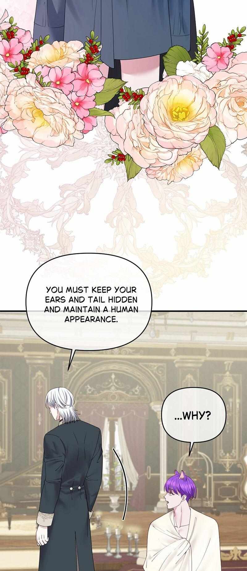 Navi's Comedy of Romantic Errors Chapter 53 page 16 - 