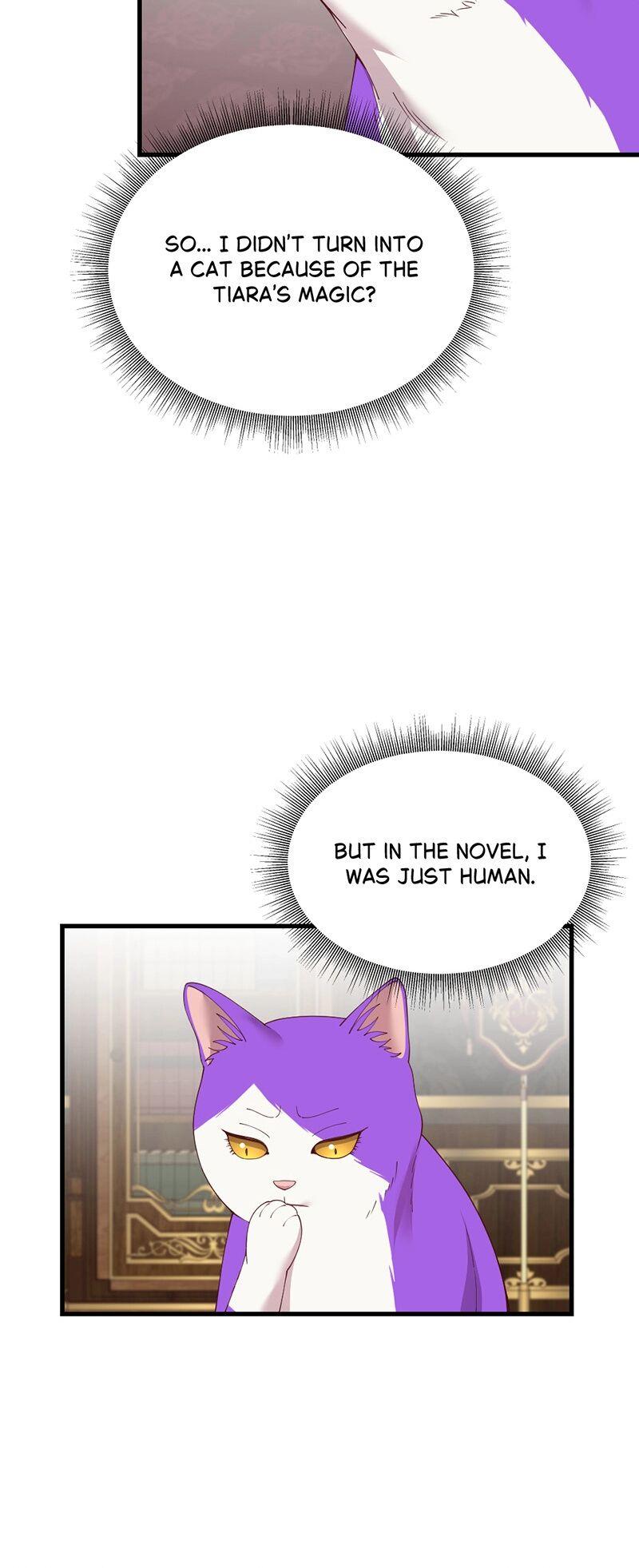 Navi's Comedy of Romantic Errors Chapter 53 page 5 - 