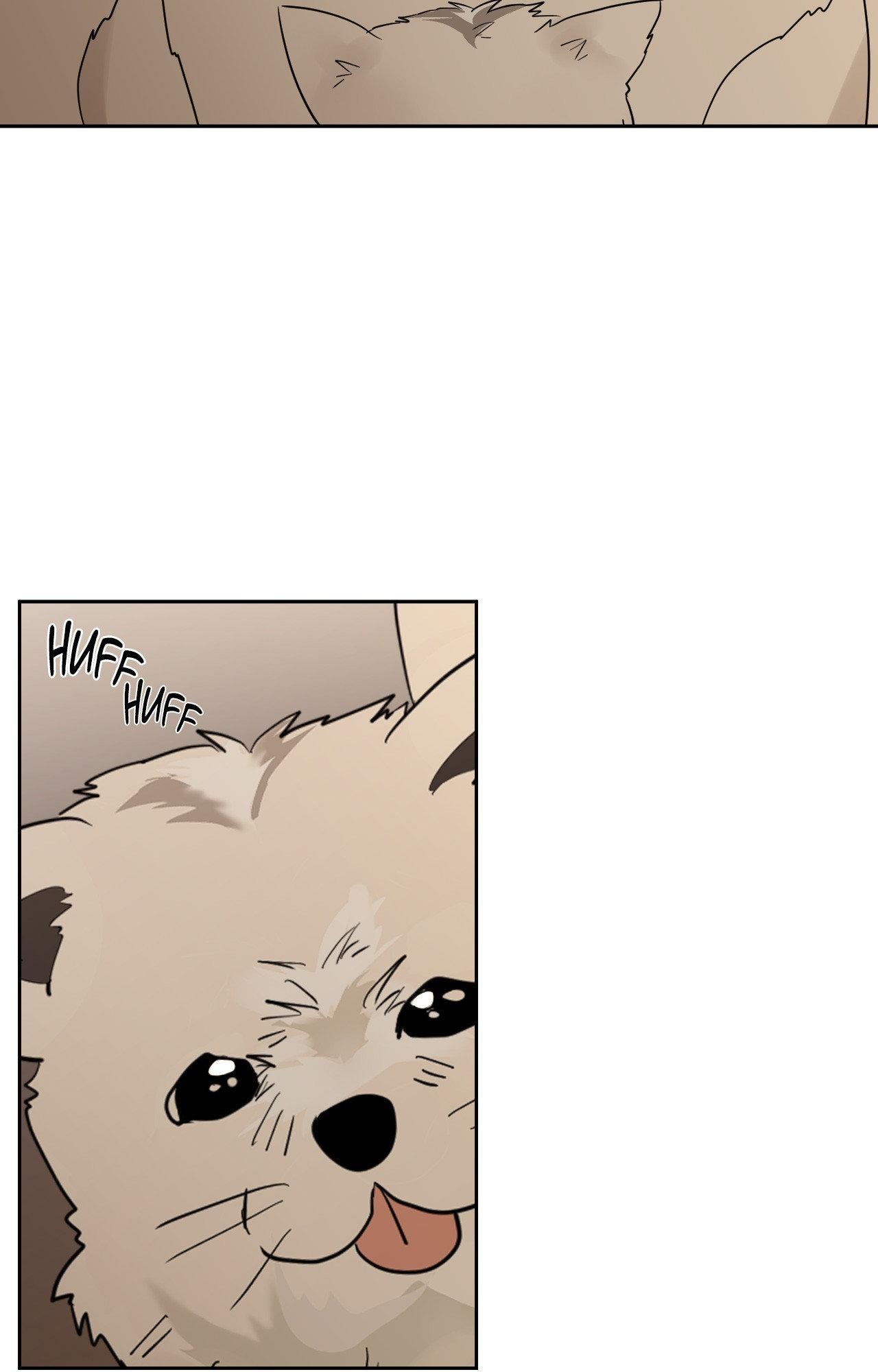 Read Neighbor’s Cake chapter 77 image 1 on Lezhin