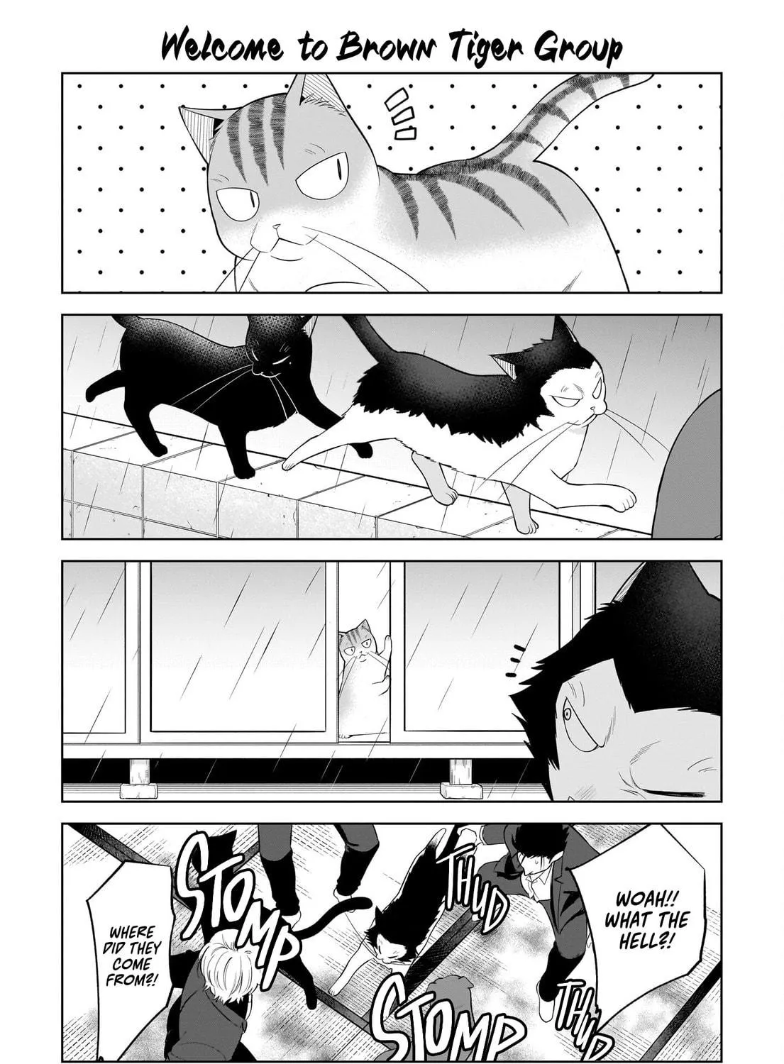 Neko ga Gotoku Chapter 37 page 17 - 