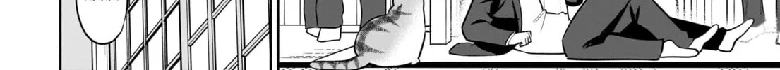 Neko ga Gotoku Chapter 39 page 22 - 